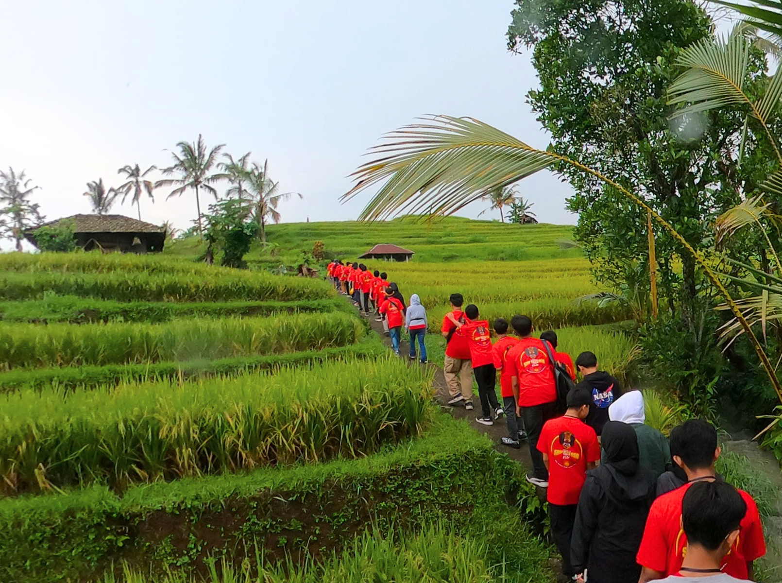 Rombongan SMP Al-Fath BSD mendaki di sawah di Jatiluwih